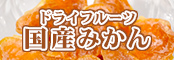 ドライフルーツ国産みかん