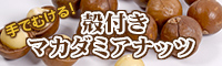>殻付きマカダミアナッツ