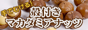 殻付きマカダミアナッツ